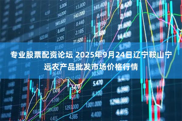 专业股票配资论坛 2025年9月24日辽宁鞍山宁远农产品批发市场价格行情